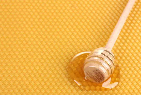 Yellow beautiful honeycomb and wooden honey drizzler with honey — Stock Photo, Image