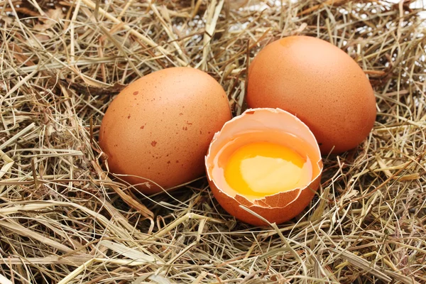 Chicken eggs in a nest closeup — Stock Photo, Image