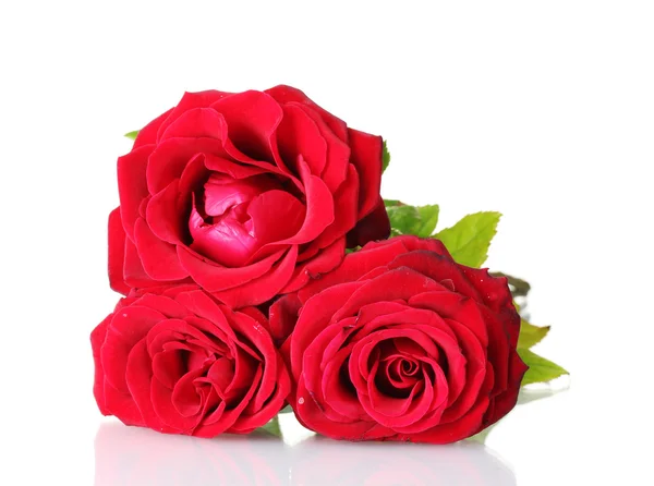 Hermoso ramo de rosas rojas aisladas en blanco —  Fotos de Stock