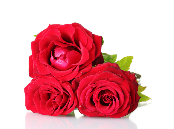 Beautiful bouquet of red roses isolated on white