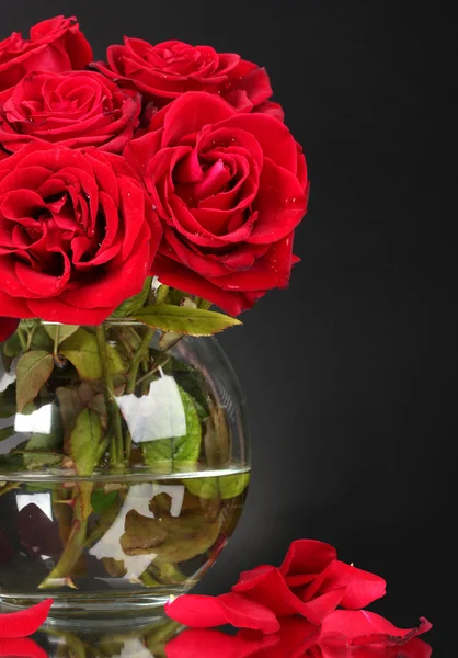 Krásné červené růže ve váze na šedém pozadí — Stock fotografie