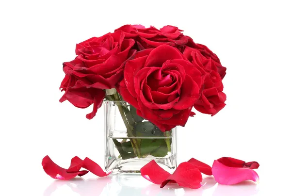 Hermoso ramo de rosas rojas en jarrón aislado en blanco —  Fotos de Stock