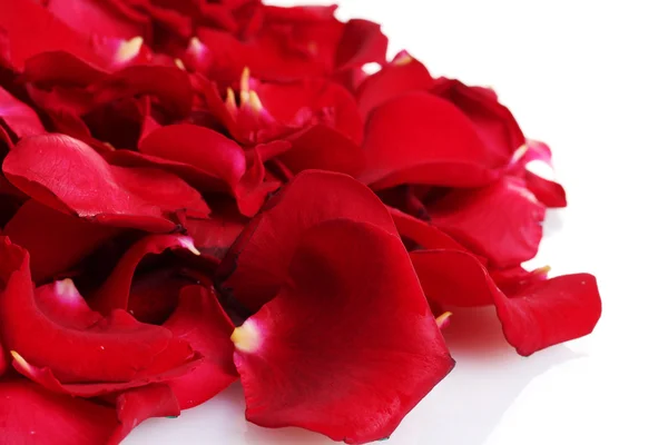 Mooie bloemblaadjes van rode rozen geïsoleerd op wit — Stockfoto