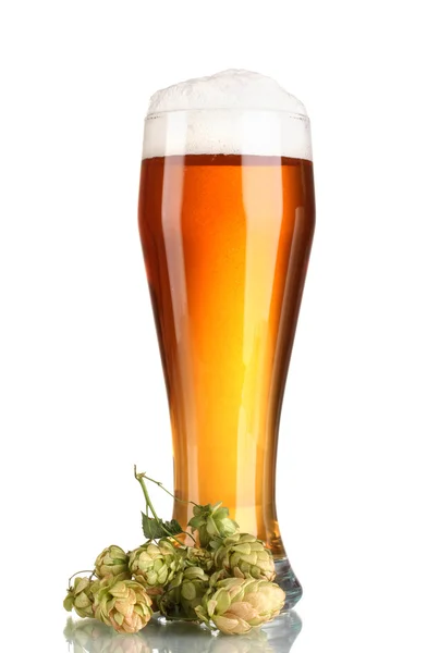 Beer in a glass and green hop isolated on white — Stock Photo, Image