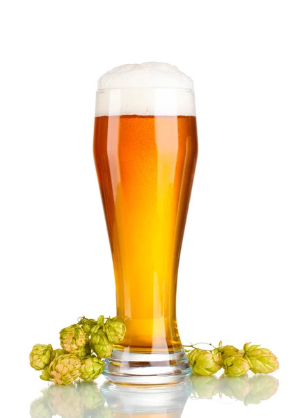 Bier im Glas und grüner Hopfen isoliert auf weiß — Stockfoto