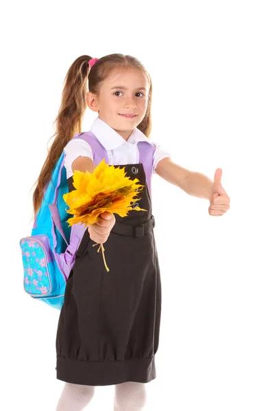 Retrato de menina bonita em uniforme escolar com mochila e autum — Fotografia de Stock