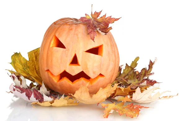 Zucca di Halloween e foglie autunnali isolate su bianco — Foto Stock