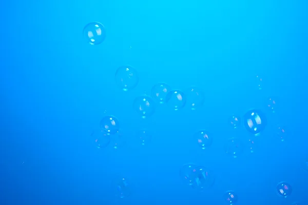 Bolhas de sabão no fundo azul — Fotografia de Stock