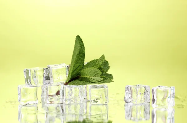 Свежий мятный лист и кубики льда с капельками на зеленом фоне — стоковое фото