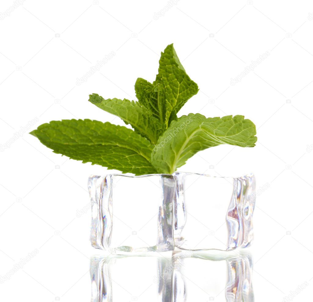 Fresh mint leaf and ice cubes isolated on white