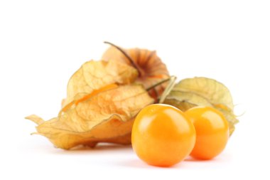 physalis öbek üzerinde beyaz izole