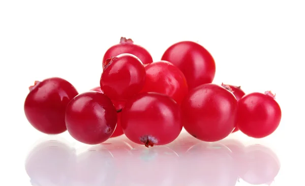 Cranberry segar terisolasi di atas putih — Stok Foto