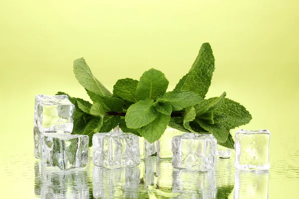 Hoja de menta fresca y cubitos de hielo con gotitas sobre fondo verde —  Fotos de Stock