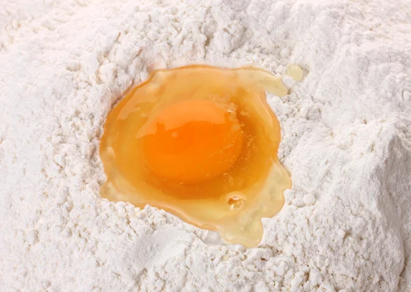 Vajíčko v mouce zblízka — Stock fotografie
