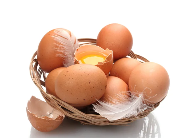 Tavuk yumurtası beyaz izole bir yuvaya — Stok fotoğraf