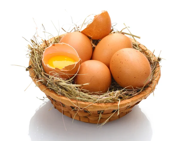 Csirke tojások a fészekben, elszigetelt fehér — Stock Fotó