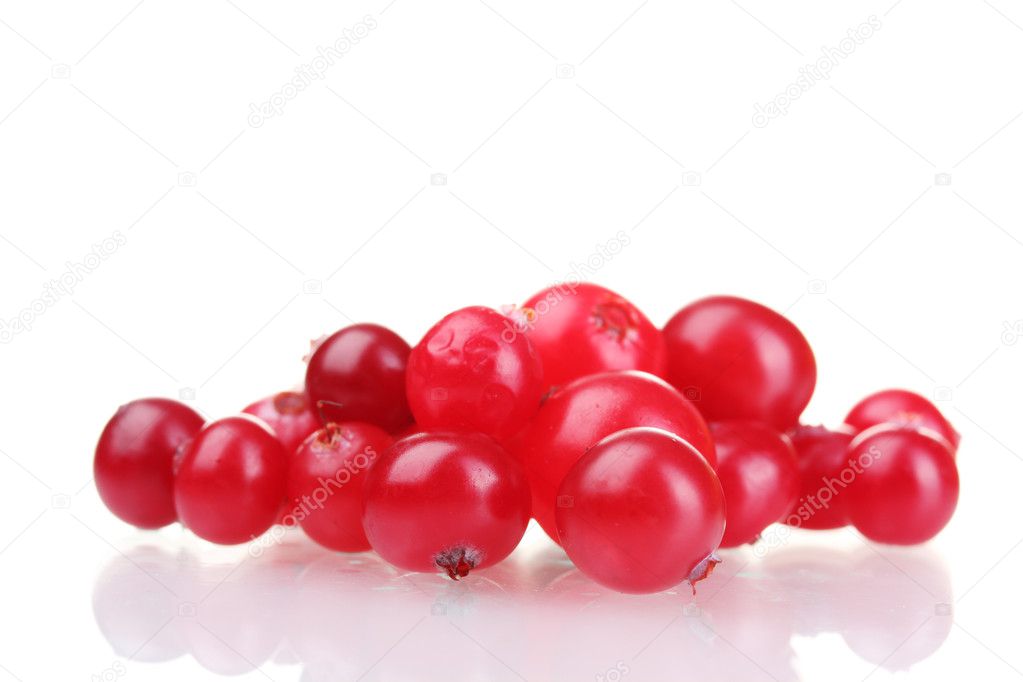 Fresh cranberries isolated on white