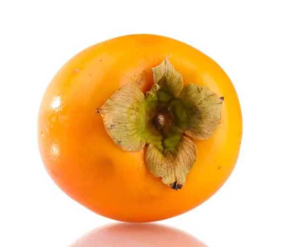 孤立在白色的开胃柿 — 图库照片