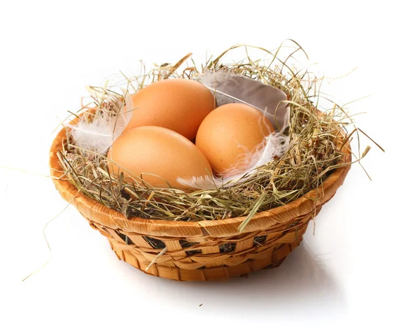 흰색 절연 둥지에서 계란 — 스톡 사진