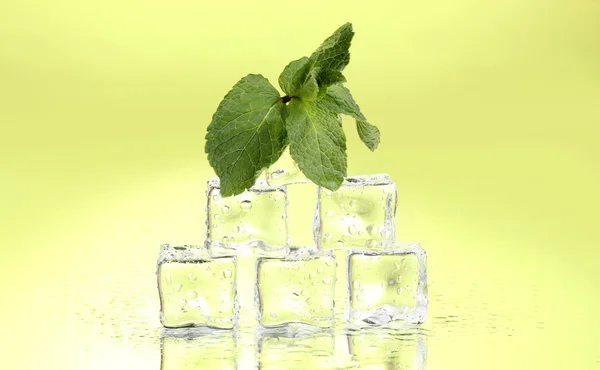 Verse munt blad en ijsblokjes met druppels op groene achtergrond — Stockfoto