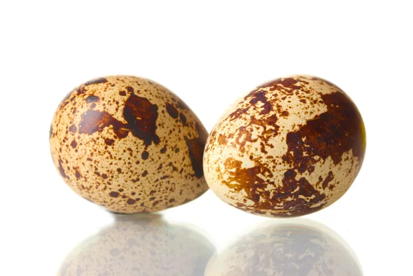 Two quail eggs isilated on white — Stock Photo, Image