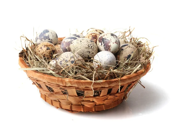 Huevos de codorniz aislados en blanco —  Fotos de Stock