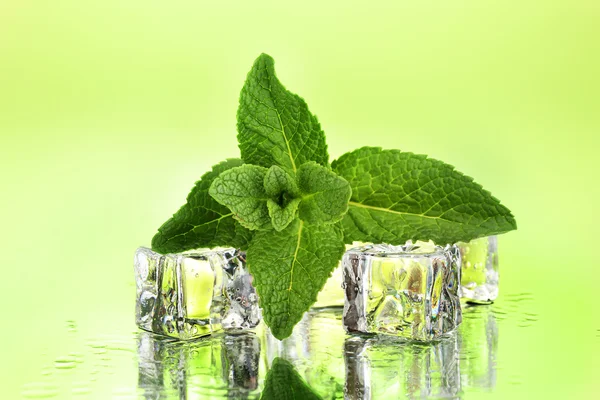 Čerstvý mátový list a kostky ledu s kapky na zeleném pozadí — Stock fotografie