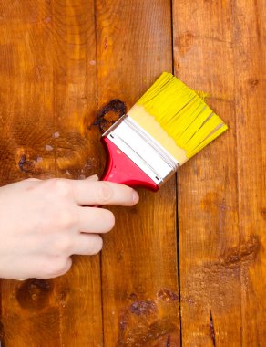 Painting wooden fence with yellow paint clipart