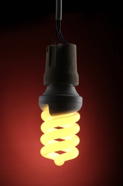 Uma lâmpada de poupança de energia acesa no fundo vermelho — Fotografia de Stock