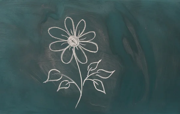 Blackboard with drawing flower closeup — Stock Photo, Image