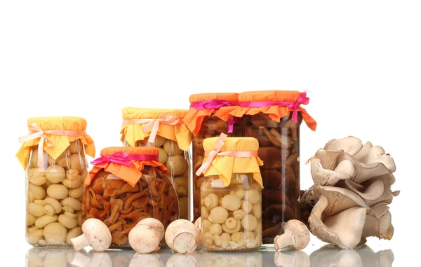 在玻璃罐子、 原料香菇和牡蛎的美味腌制的蘑菇 — 图库照片