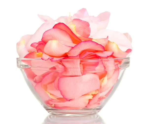 Beautiful pink rose petals in glass bowl isolated on white — Stock Photo, Image