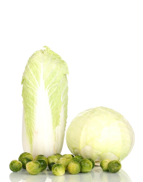 Fresh brussels sprouts with green and chinese cabbage isolated on white — Stock Photo, Image