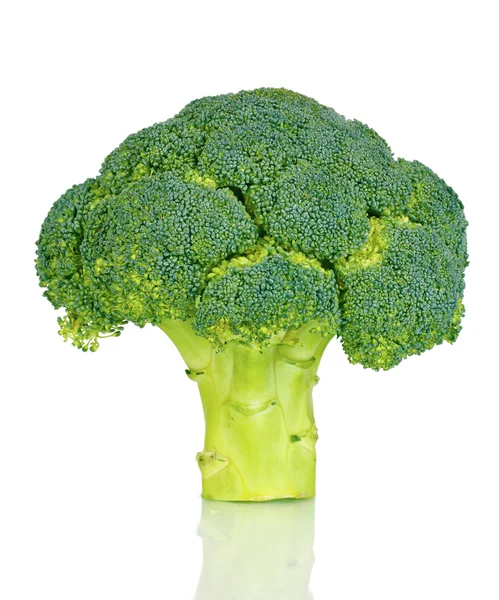 Brócoli fresco aislado en blanco — Foto de Stock