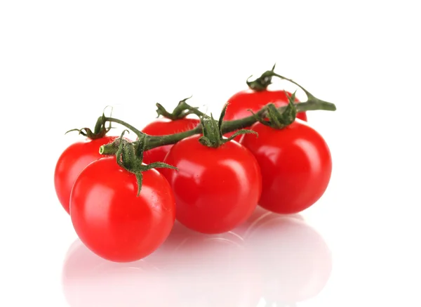 Krásné cherry rajčata na větvi izolované na bílém — Stock fotografie