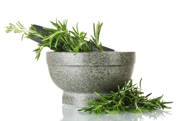 Fresh green rosemary in mortar isolated on white — Stock Photo, Image
