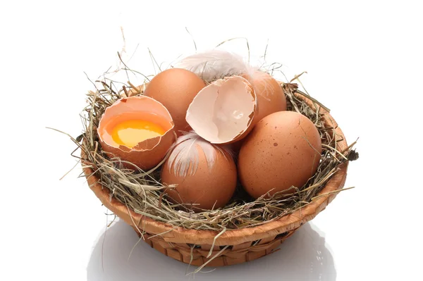 Куриные яйца в гнезде изолированы на белом — стоковое фото