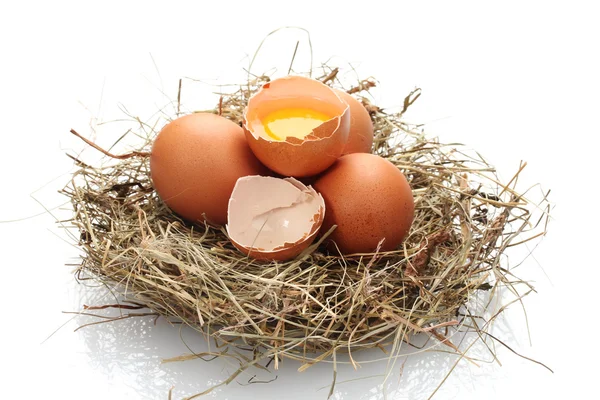 白で隔離される巣に鶏の卵 — ストック写真