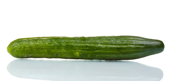 Lange komkommer geïsoleerd op wit — Stockfoto