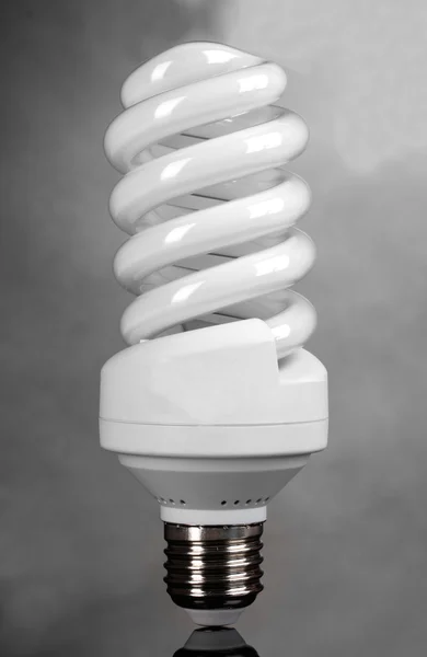 Energeticky úsporné žárovky na šedém pozadí — Stock fotografie
