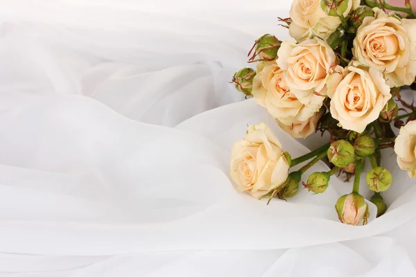 Små rosor i en vit duk isolerad på vit — Stockfoto