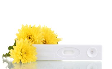 Pregnancy test and flowers isolated on white clipart