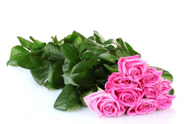 beyaz izole birçok pembe güller