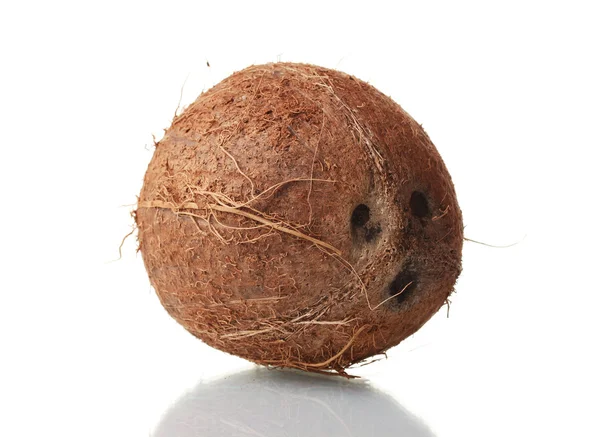 Сoconut isolated on white — Stock Photo, Image