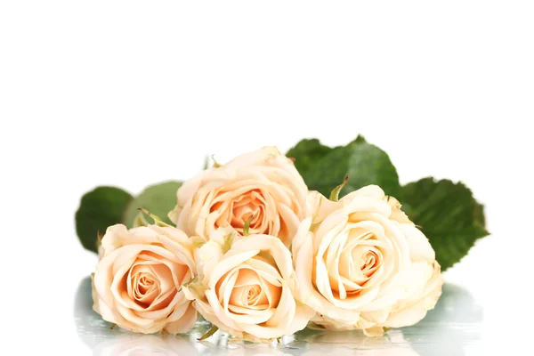 Bouquet of white roses isolated on white — Stock Photo, Image