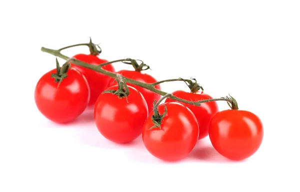 Красивые помидоры черри на ветке изолированы на белом — стоковое фото
