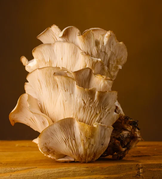 Funghi ostrica tavolo di legno su sfondo marrone — Foto Stock