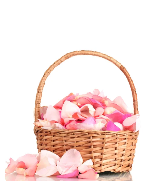 Vacker rosa rosenblad i korg isolerad på vit — Stockfoto