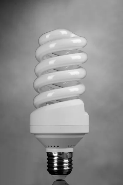 Lâmpada de poupança de energia no fundo cinza — Fotografia de Stock