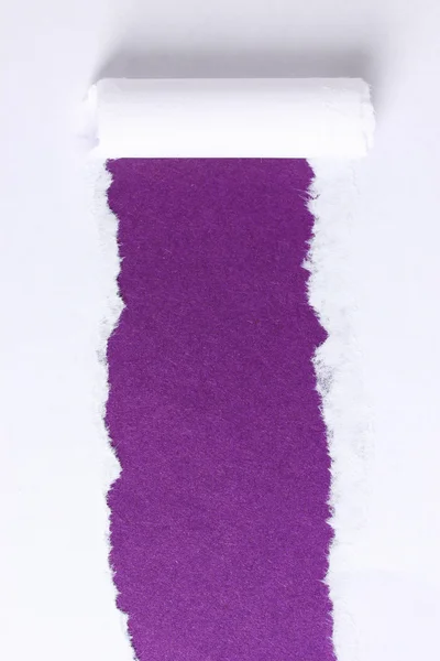 Papel rasgado com fundo violeta — Fotografia de Stock